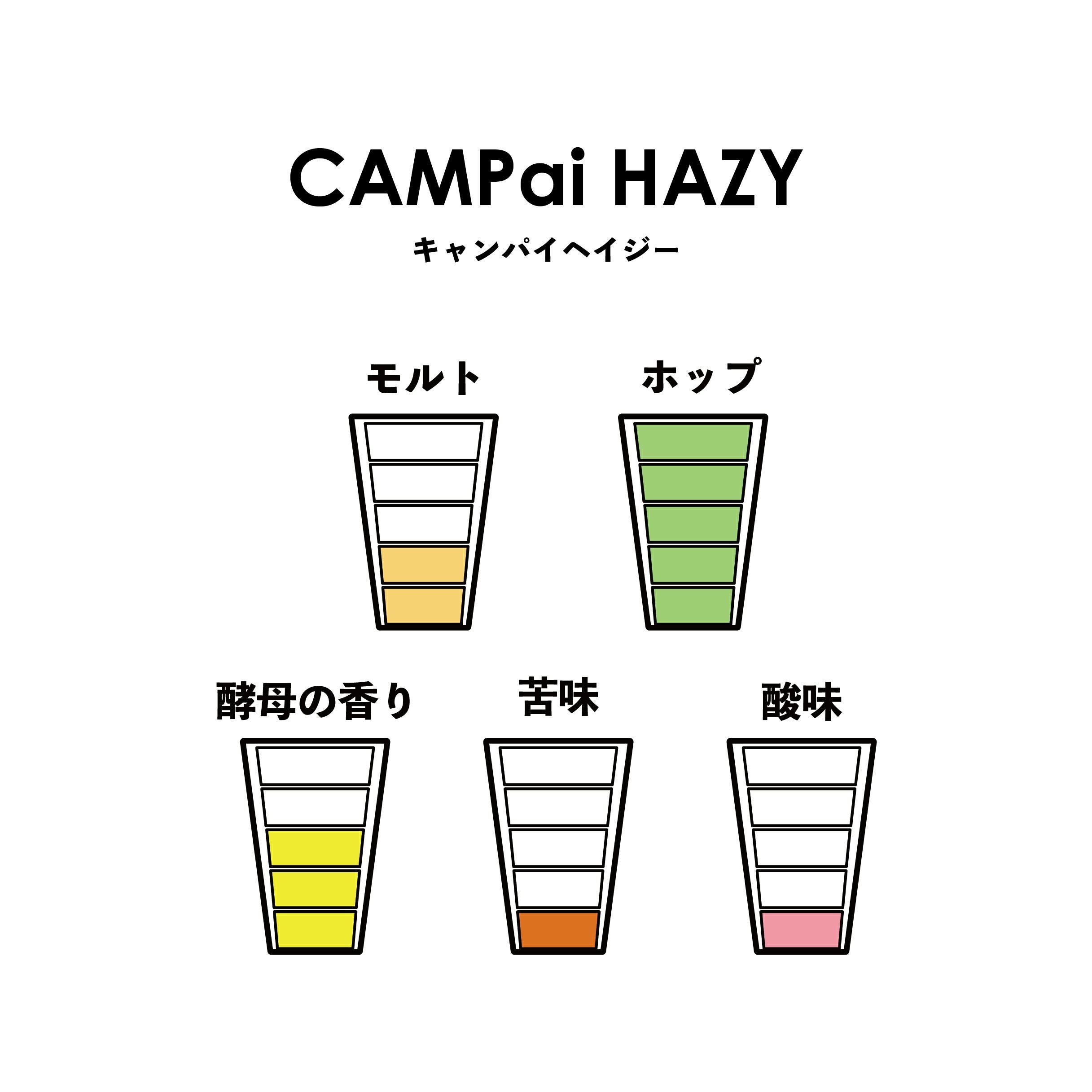 CAMPai HAZY6本セット（715円/本） | Repubrew