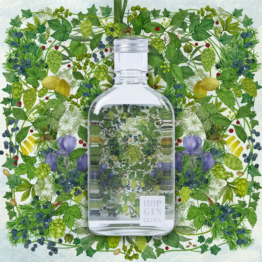 HOP GIN CITRA 200ml | Repubrew